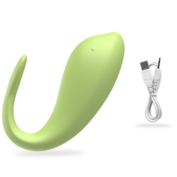Wireless Remote Vibrating Egg for Women / Adult Clitoris Stimulation / Female Sex Toy - EVE's SECRETS